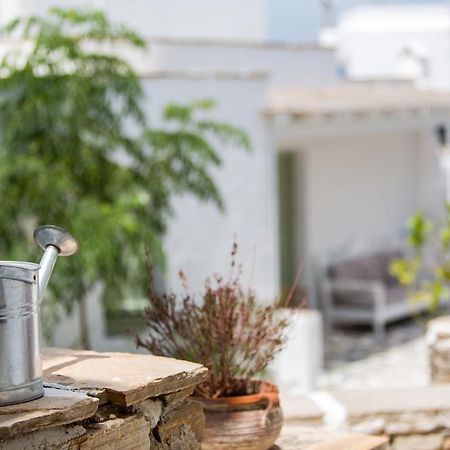 Nastasia Village Naxos City Exterior foto