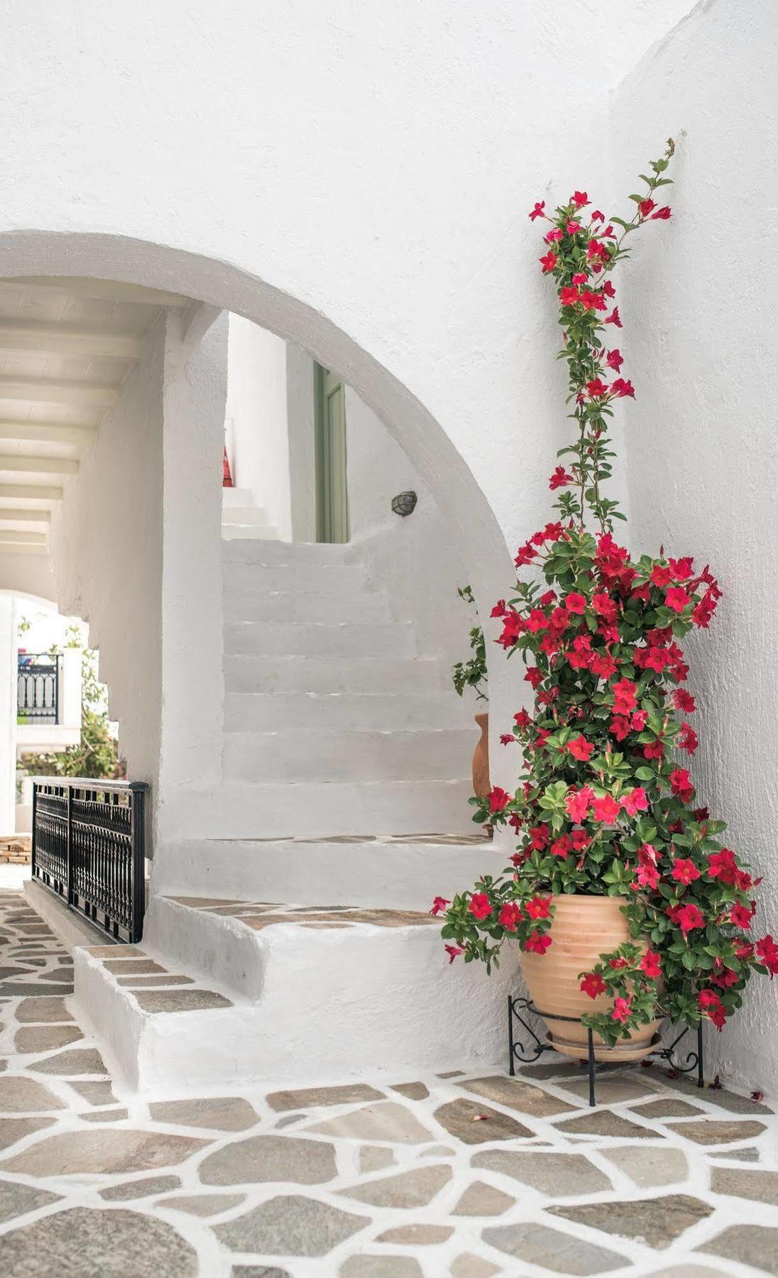 Nastasia Village Naxos City Exterior foto