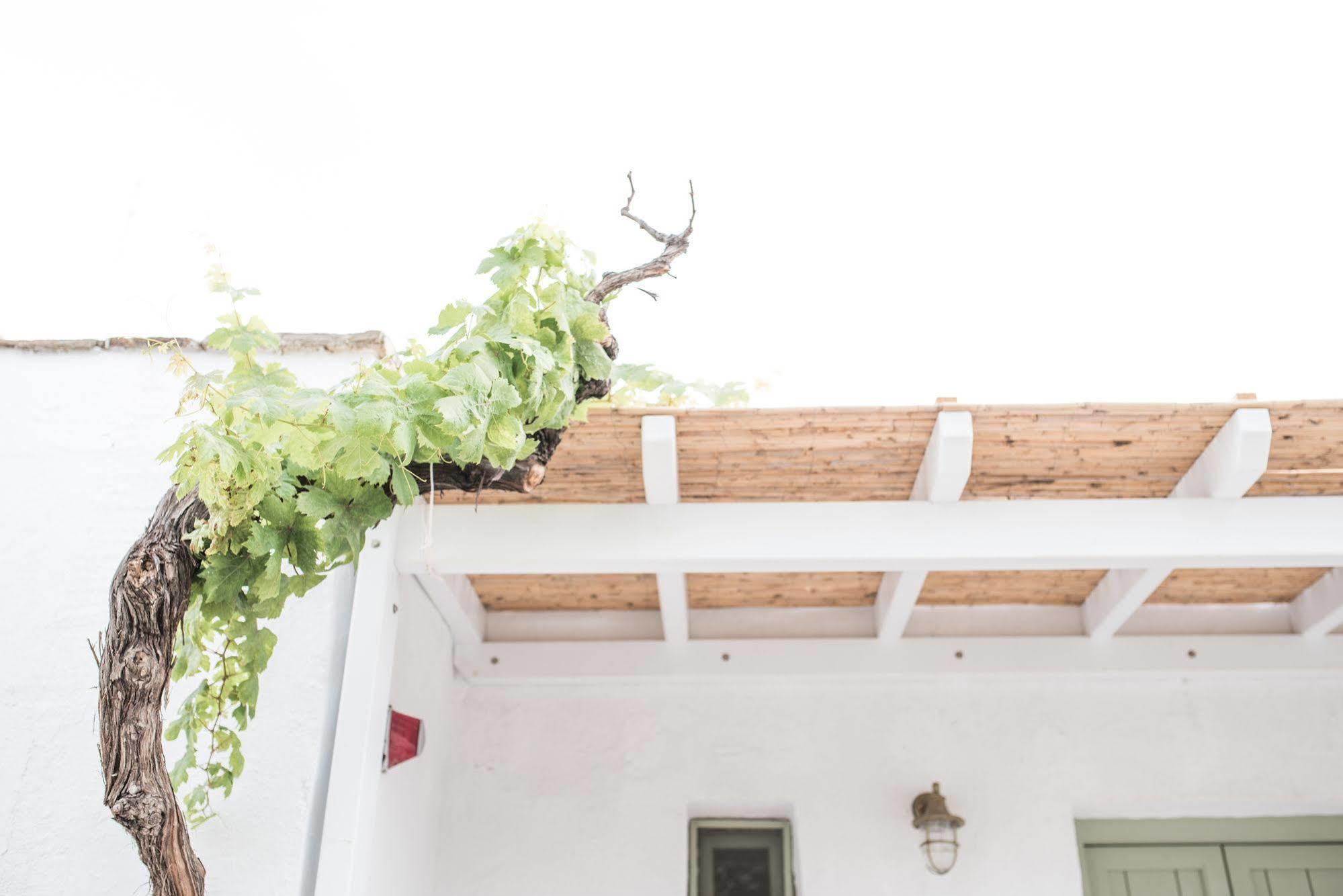 Nastasia Village Naxos City Exterior foto